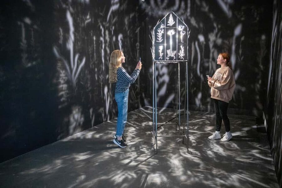 Rovaniemi: Culture Pass to Arktikum and Korundi - How the Culture Pass works in Rovaniemi