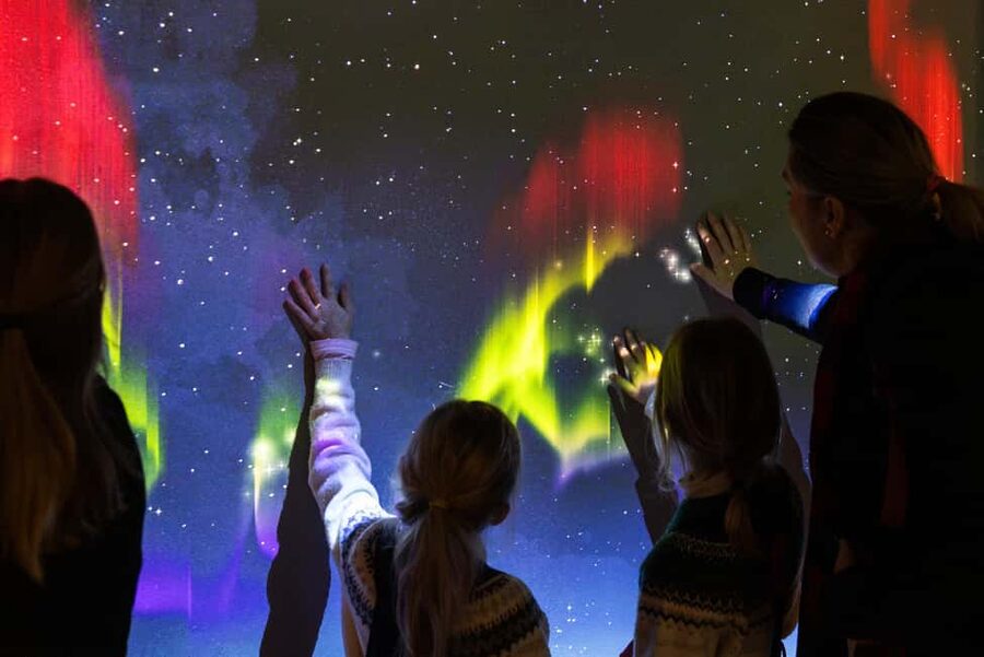 Rovaniemi: Culture Pass to Arktikum and Korundi - Arktikum Science Centre and Museum: Lapland, Arctic nature, and what the Northern Lights really are