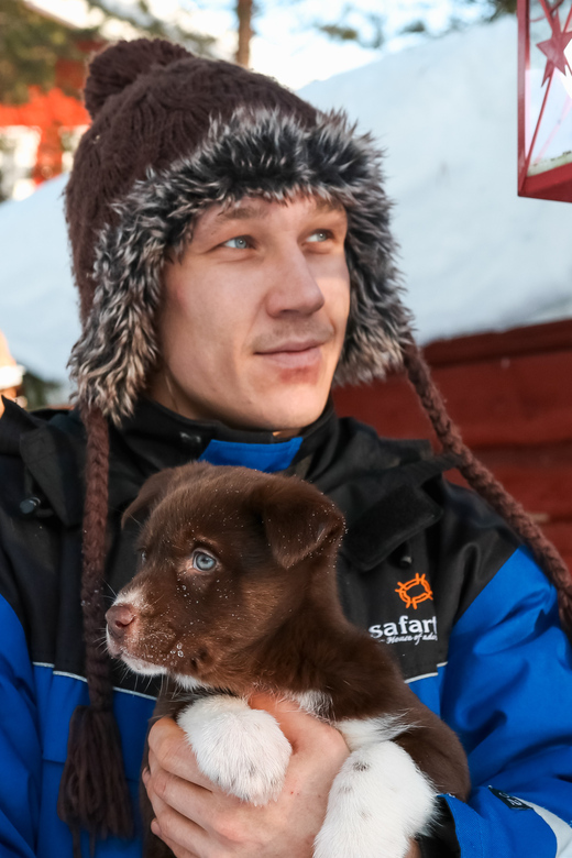 Rovaniemi: Daytime Husky Safari - Winter Clothing, Real Cold, and the One Tip That Saves Trips