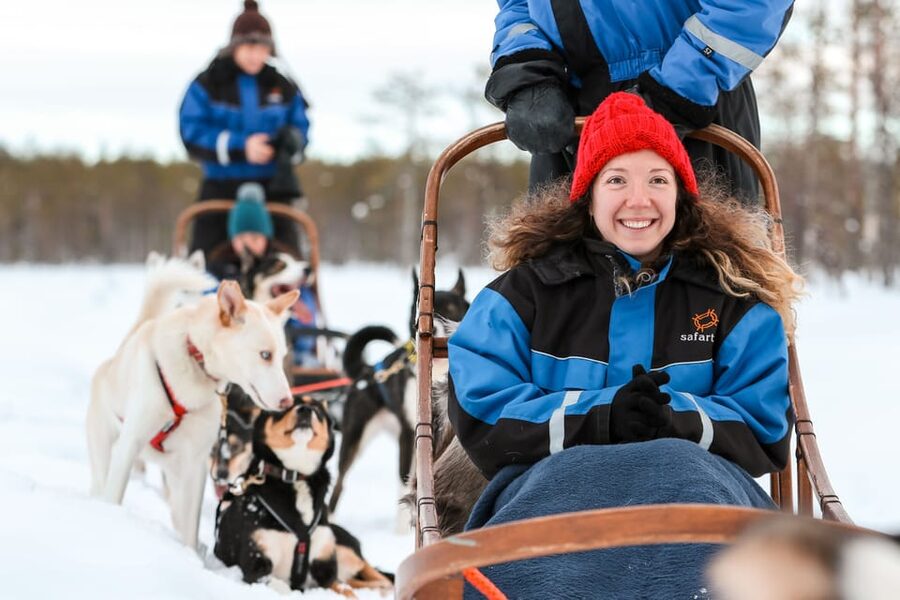 Rovaniemi: Daytime Husky Safari - The 5 km Husky Safari: Pair Teams, Swaps, and That Quiet Rush