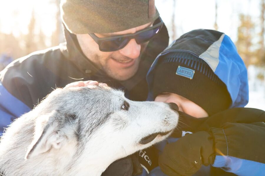 Rovaniemi: Daytime Husky Safari - Price and Value: Is $209 Worth It in Rovaniemi?