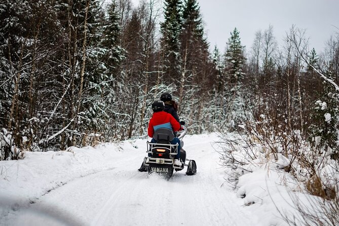 Rovaniemi: Drive New 2025 Snowmobiles on Arctic Safari & BBQ - Key Highlights You Should Know