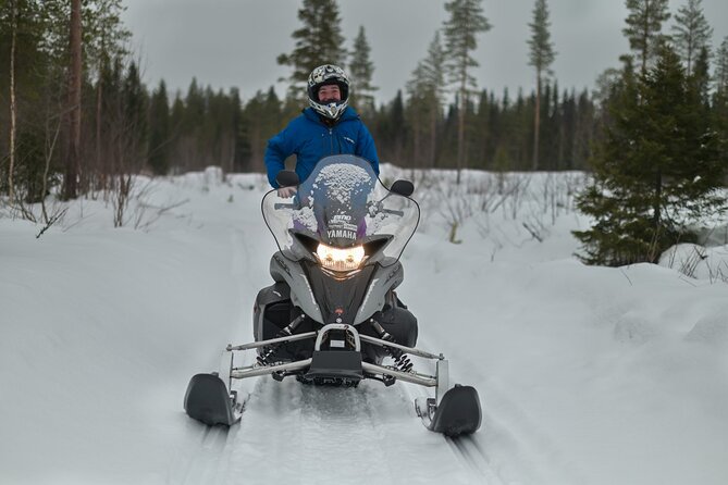 Rovaniemi: Drive New 2025 Snowmobiles on Arctic Safari & BBQ - Brand-New 2025 Snowmobiles, Shared Vehicles, and Driver Rules