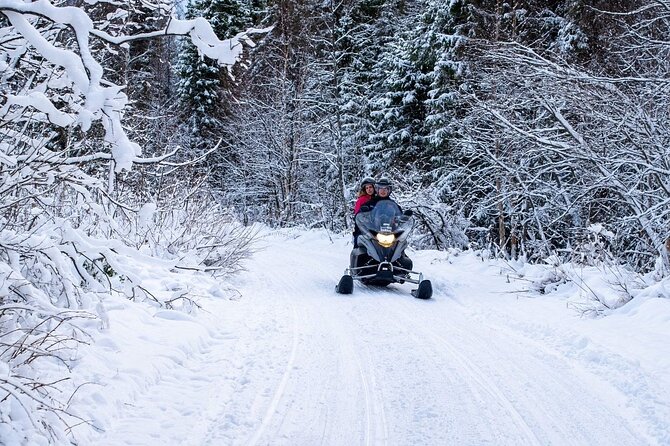 Rovaniemi: Drive New 2025 Snowmobiles on Arctic Safari & BBQ - Warm-Up Time: BBQ by the Fire in Teepees (What You Actually Eat)