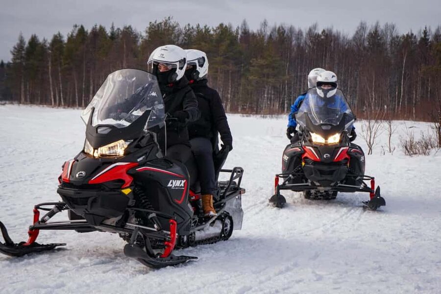 Rovaniemi: Drive New 2025 Snowmobiles on Arctic Safari & BBQ - Safety, Clothing, and Who This Tour Fits Best