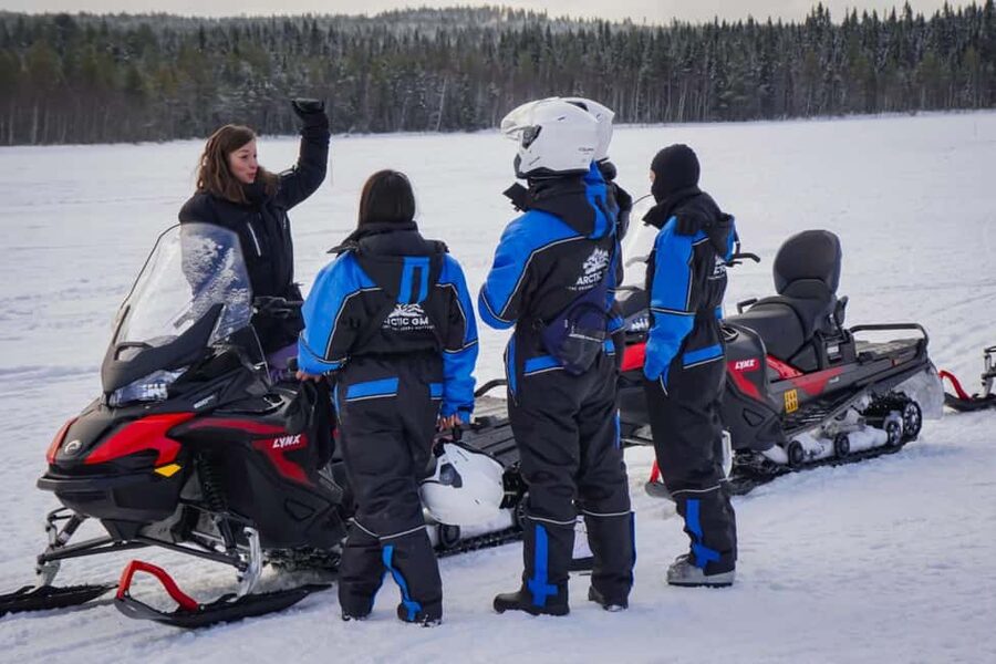 Rovaniemi: Drive New 2025 Snowmobiles on Arctic Safari & BBQ - Should You Book This Arctic Safari and BBQ?