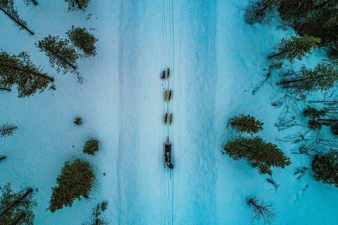 Rovaniemi: Drive Your Own Husky Team (6–10 km) & BBQ - The 2025 Ford Tourneo 4x4 transfer: comfortable, but be ready on time