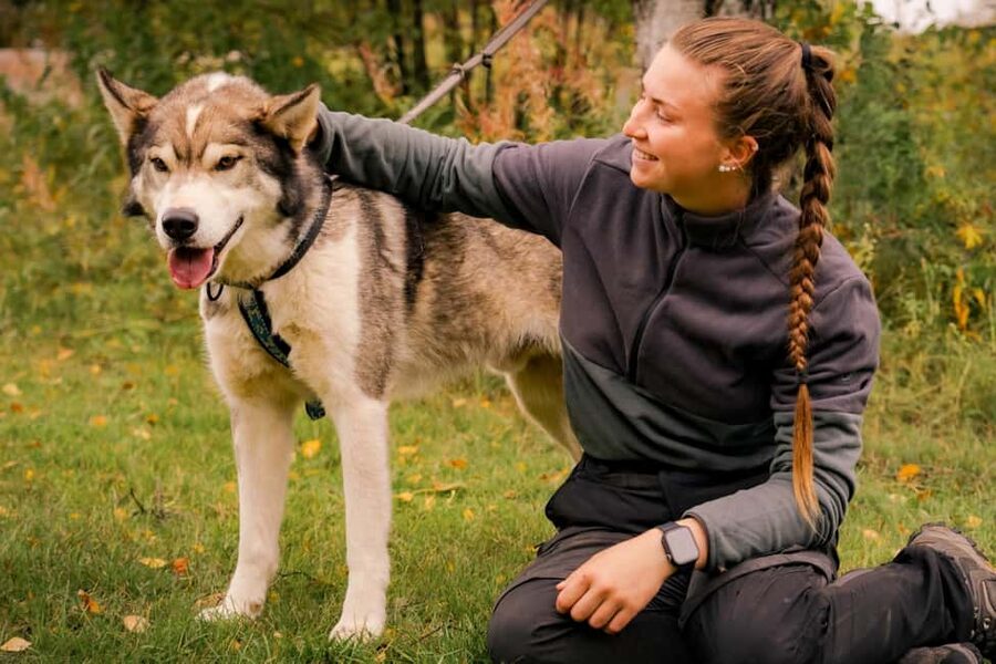 Rovaniemi: Drive Your Own Husky Team (Autumn) & BBQ - Should You Book This Drive-Your-Own Husky Team Experience?