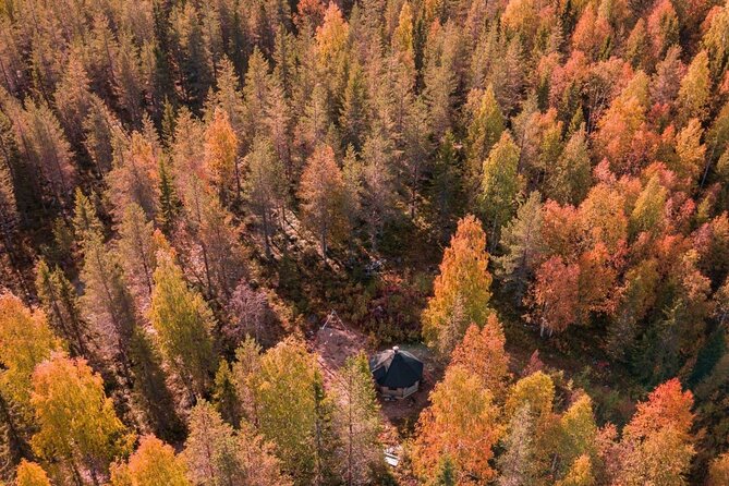 Rovaniemi: Drive Your Own Husky Team (Autumn) & BBQ - A Secluded Family Husky Farm With Real Operations