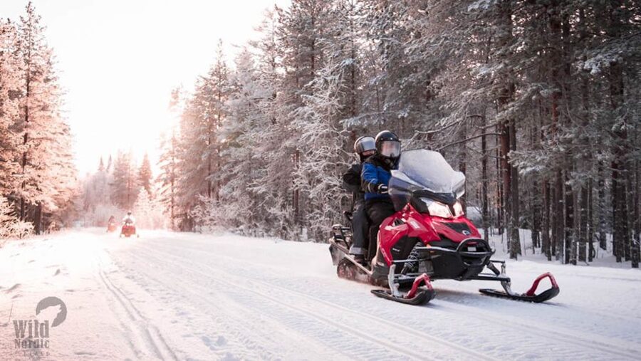 Rovaniemi: Easy Snowmobile Safari - Who This Safari Fits Best (and Who Might Be Happier Elsewhere)