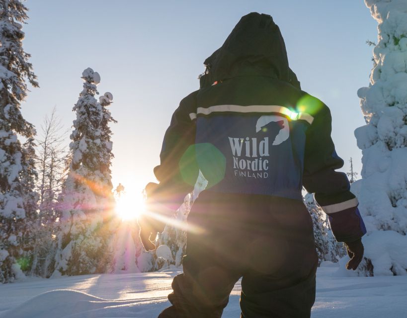 Rovaniemi: Easy Snowmobile Safari - Safety and Rules: What You Must Have Before Riding