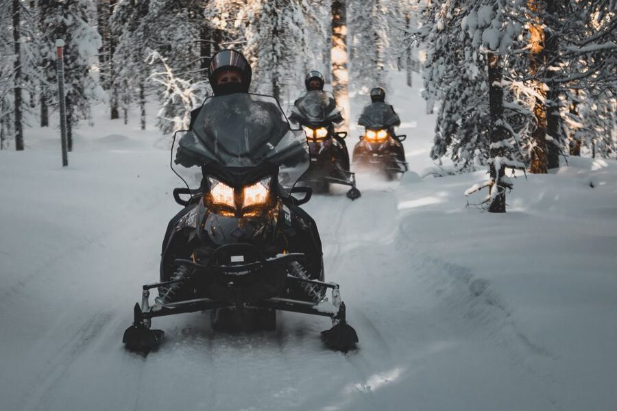 Rovaniemi: Electric Snowmobile Safari to Arctic Wilderness - The Ride Itself: Frozen Lake, Bog Forests, and Night Sky Stops