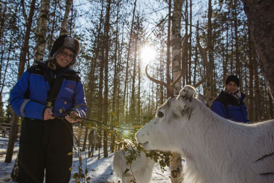 Rovaniemi: Evening Reindeer Safari - Pickup, winter clothing, and meeting the herder
