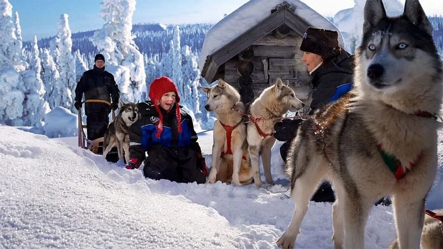 Rovaniemi: Family Friendly Husky Ride and Farm Visit - The 800m Sled Ride: What 5 Minutes Looks Like in Real Winter