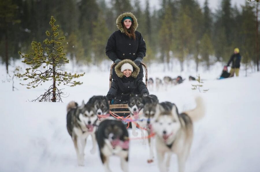Rovaniemi: Family Friendly Husky Ride and Farm Visit - Quick Reality Check Before You Book: Is This the Right Husky Day for You?
