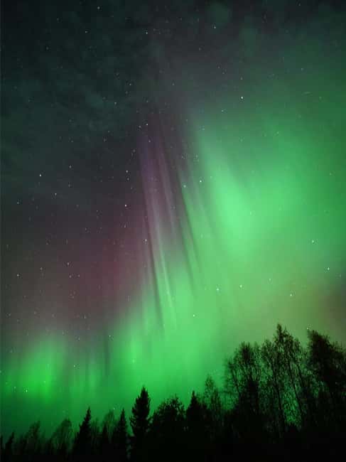 Rovaniemi: Family-Friendly Northern Lights Tour - The Wilderness Stops: Stories, Hot Drinks, and Watching the Sky