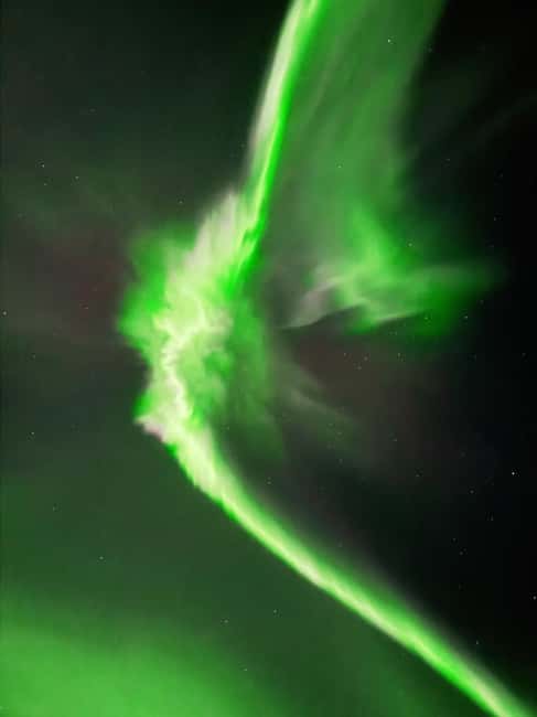Rovaniemi: Family-Friendly Northern Lights Tour - Aurora Photography Tips That Actually Help