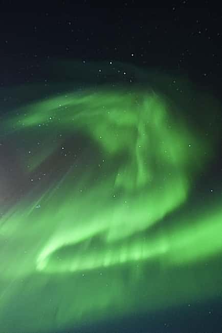 Rovaniemi: Family-Friendly Northern Lights Tour - Price and Value: Why $76 Can Be a Fair Deal