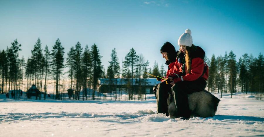 Rovaniemi: Family Fun Day with Huskies and Reindeer - Price and Value: What $246 Per Person Covers