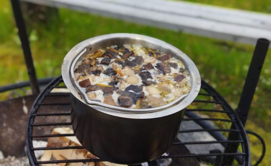 Rovaniemi forest foraging adventure: Pick, Prepare, Savor - Tahtamankuja: picnic, hiking, and wildlife viewing time