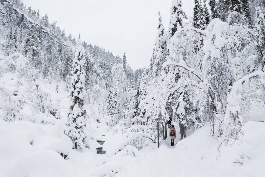 Rovaniemi: Frozen Waterfalls of Korouoma Canyon & Pro Photos - Korouoma Canyon hike: 5 km of icy terrain and big winter scenery