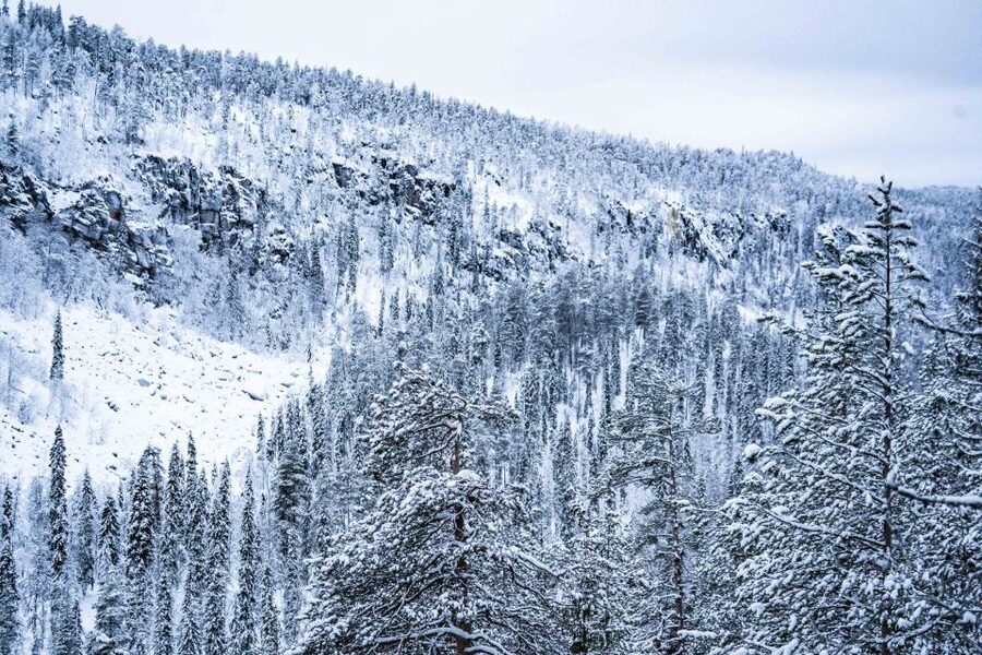 Rovaniemi: Frozen Waterfalls of Korouoma Canyon & Pro Photos - Price and logistics: is $159 good value for Korouoma?