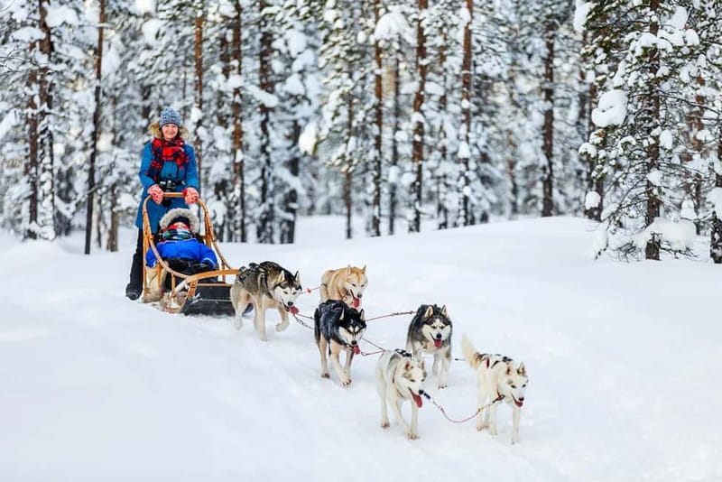 Rovaniemi: Full-Day Highlights Tour with Buffet Lunch - How the 6 Hours Add Up (and Why It Can Feel Tight)