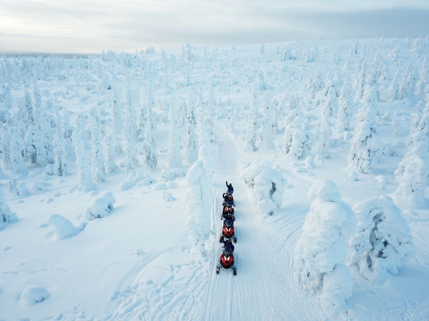 Rovaniemi: Full-Day Snowmobile Safari into the Wilderness - Key points