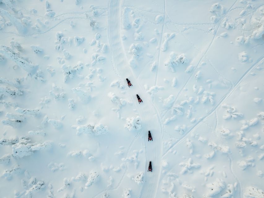 Rovaniemi: Full-Day Snowmobile Safari into the Wilderness - Snowmobile Skills You Actually Use on the Trail