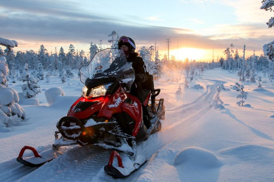 Rovaniemi: Full-Day Snowmobile Safari into the Wilderness - Route Highlights: Forest, Ice, and Big Sky Moments
