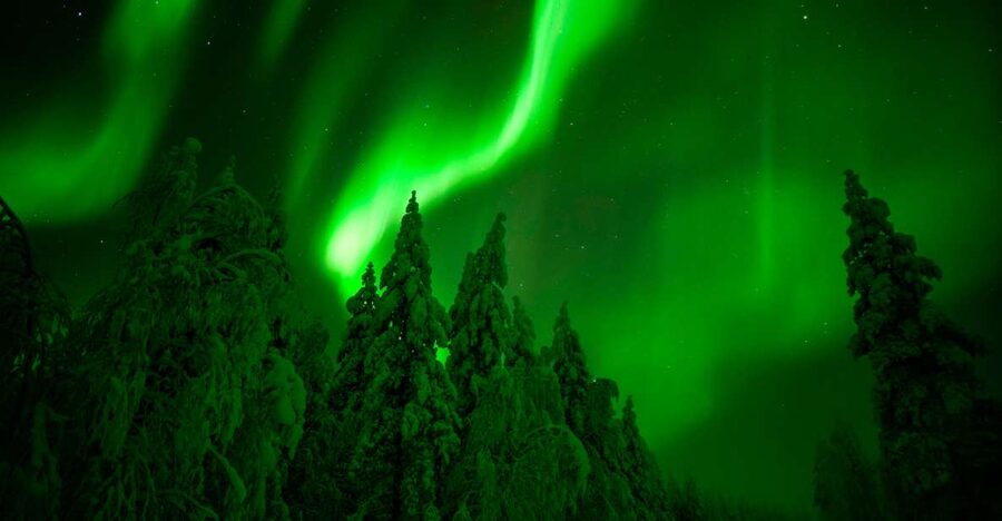 Rovaniemi: Guaranteed Northern Lights Hunting Adventure - Chasing Clear Skies, Up to 350 Kilometres From Town