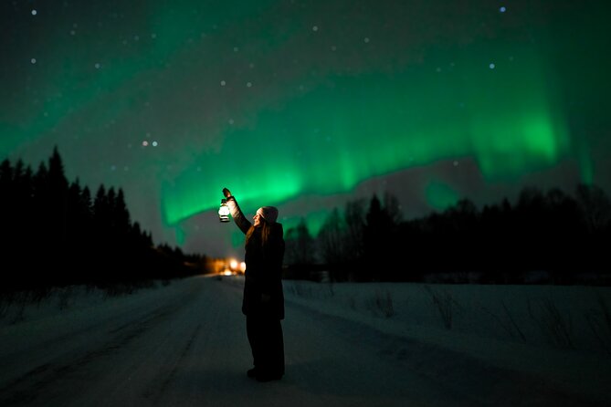 Rovaniemi: Guaranteed Northern Lights - Small Group & Photography - A small-group aurora hunt with real photo help