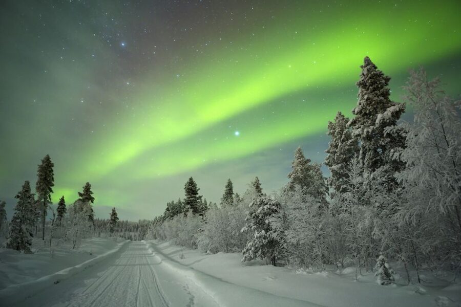 Rovaniemi: Guided Northern Lights Tour - Key Highlights Worth Planning Around