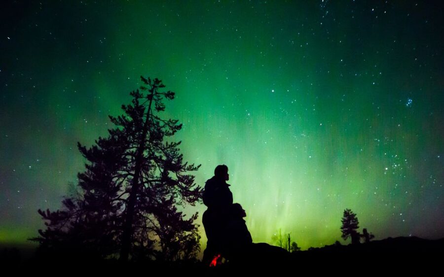 Rovaniemi: Guided Northern Lights Tour - The driving plan, backup spots, and what the guide looks for