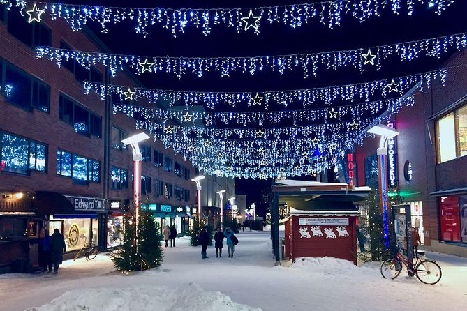 Rovaniemi Guided Tour and Santa Claus Village - Who this works best for (and who might feel cramped)