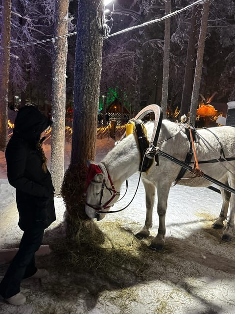 Rovaniemi: Guided Tour of Santa Claus Village - The Arctic Circle Line Leap With Certificate, Done the Easy Way