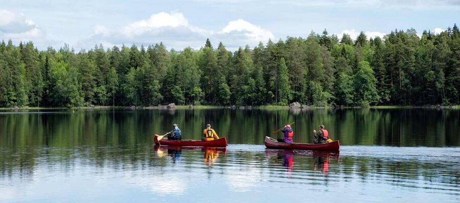 Rovaniemi: Guided Wilderness Kayaking Adventure - Key points before you paddle