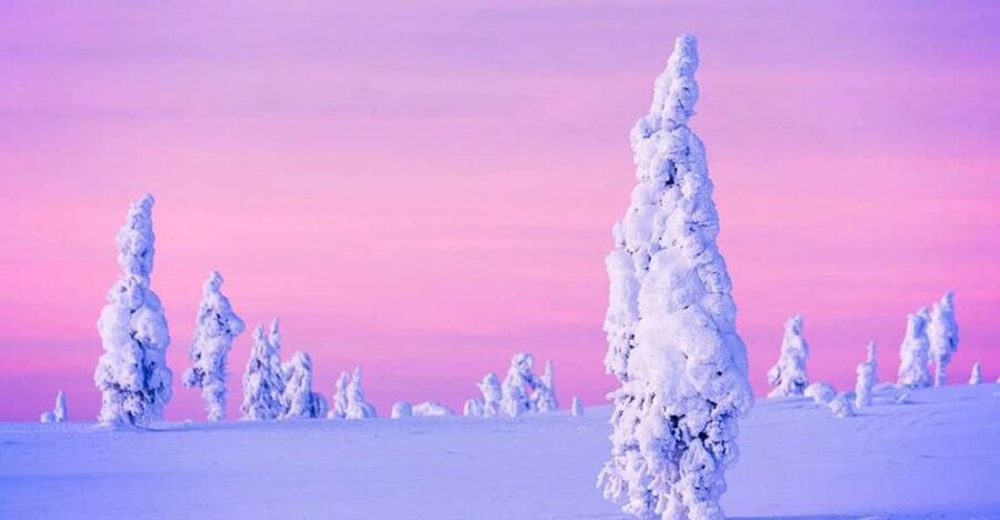 Rovaniemi: Half-Day Snowmobile & Ice Fishing Experience - Ice fishing on frozen lakes, drill first, then wait
