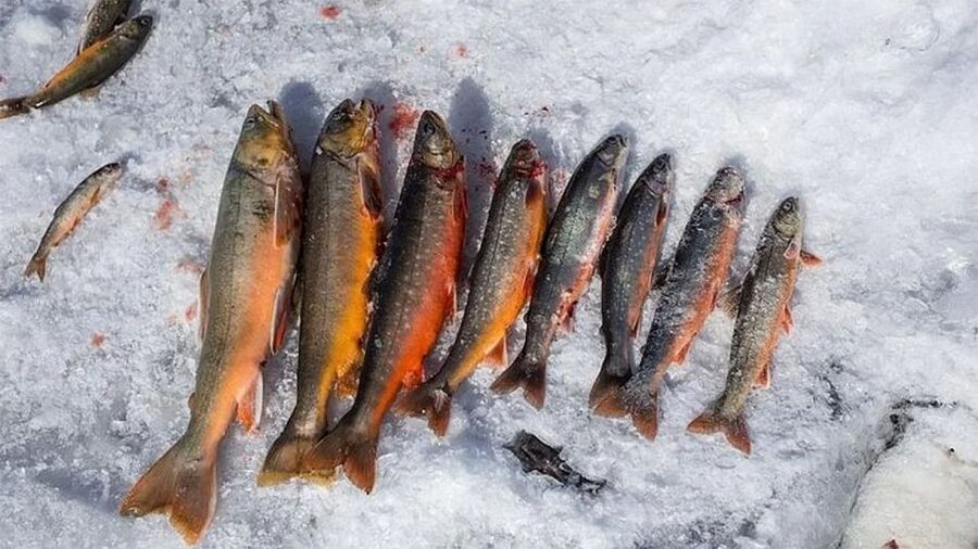 Rovaniemi: Half-Day Snowmobile & Ice Fishing Experience - Getting kitted up, so you can focus on the day