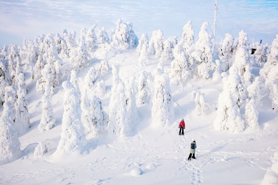 Rovaniemi: Hiking and Snowshoeing Adventure in Lapland - From Rovaniemi pickup to the Arctic Circle trails in 3 hours