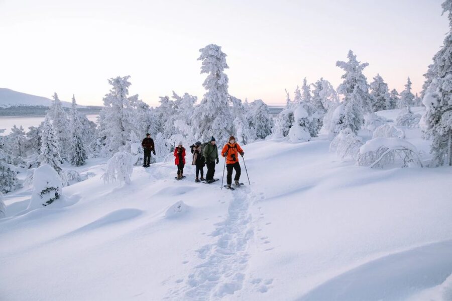 Rovaniemi: Hiking and Snowshoeing Adventure in Lapland - Frozen lake walking and the Arctic Circle viewpoint