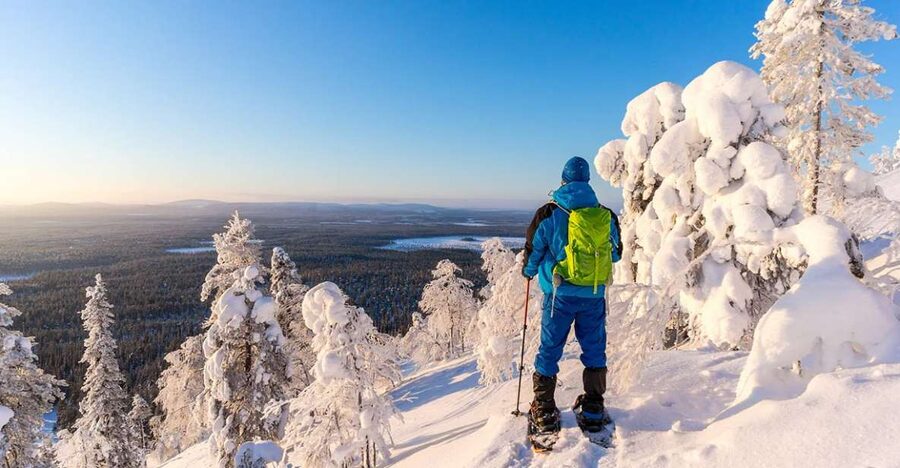 Rovaniemi: Hiking and Snowshoeing Adventure in Lapland - Price value at $104, what you are really paying for