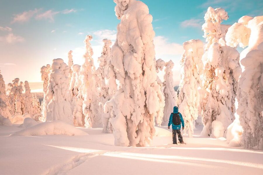 Rovaniemi: Hiking and Snowshoeing Adventure in Lapland - FAQ
