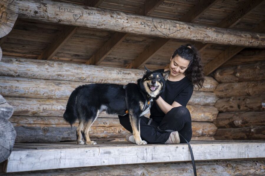 Rovaniemi: Hiking Experience with Lappish Dogs - What the 2-Hour Walk Really Feels Like