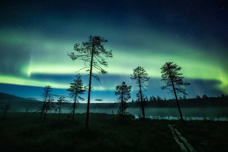 Rovaniemi: Horse Sleigh Ride under the Night Sky - Arriving at Apukka: Where the Evening Starts to Feel Real