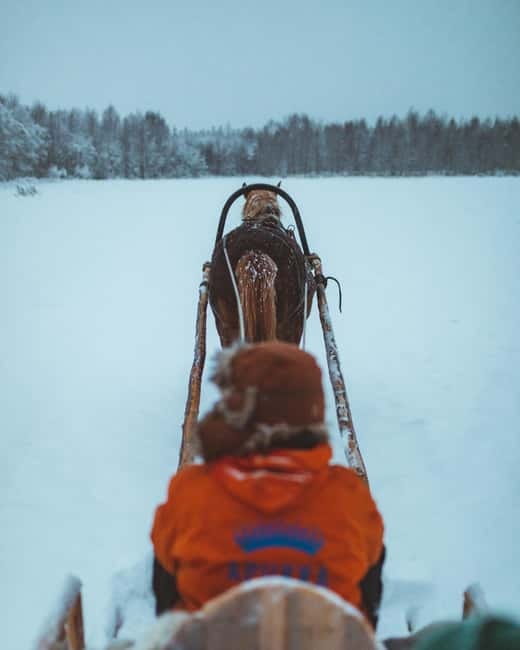 Rovaniemi: Horse Sleigh Ride under the Night Sky - Northern Lights Hunting: Stars First, Aurora If Lucky