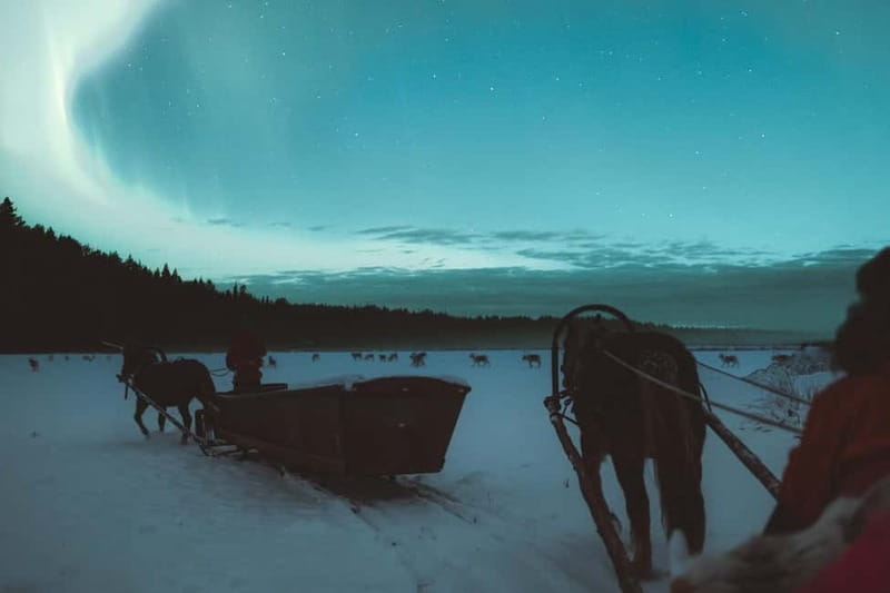 Rovaniemi: Horse Sleigh Ride under the Night Sky - Included Extras That Actually Save Money and Hassle