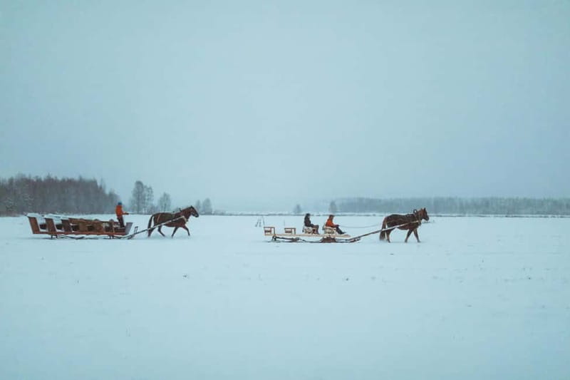 Rovaniemi: Horse Sleigh Ride under the Night Sky - Group Size and Comfort: What Changes on a 6 to 8 Person Sleigh