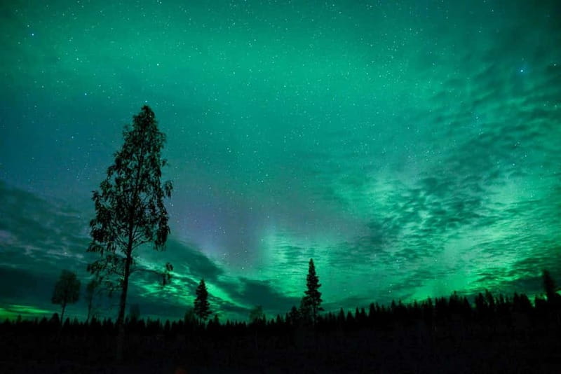 Rovaniemi: Horse Sleigh Ride under the Night Sky - Choosing Your Pickup: City Center vs Santa Claus Village