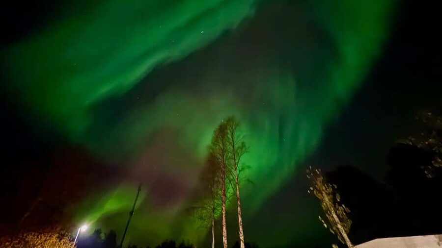 Rovaniemi: hunting for the Northern Lights with BBQ - Who the guide team is, and what to expect from the explanations